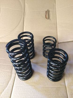 Picture of Corsa C Spring Kit - Stock Rod