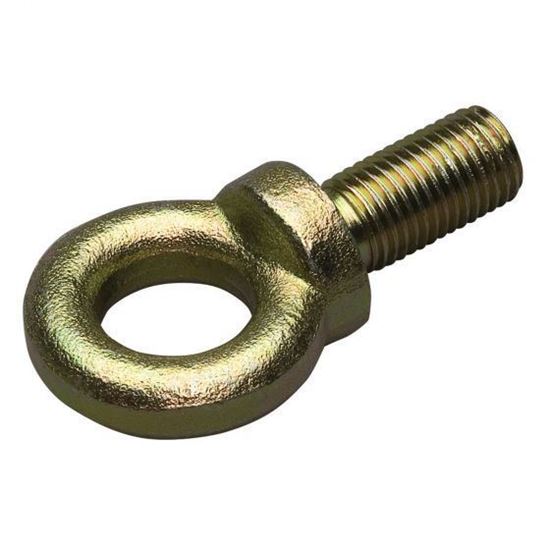 Picture of Harness Eyebolt